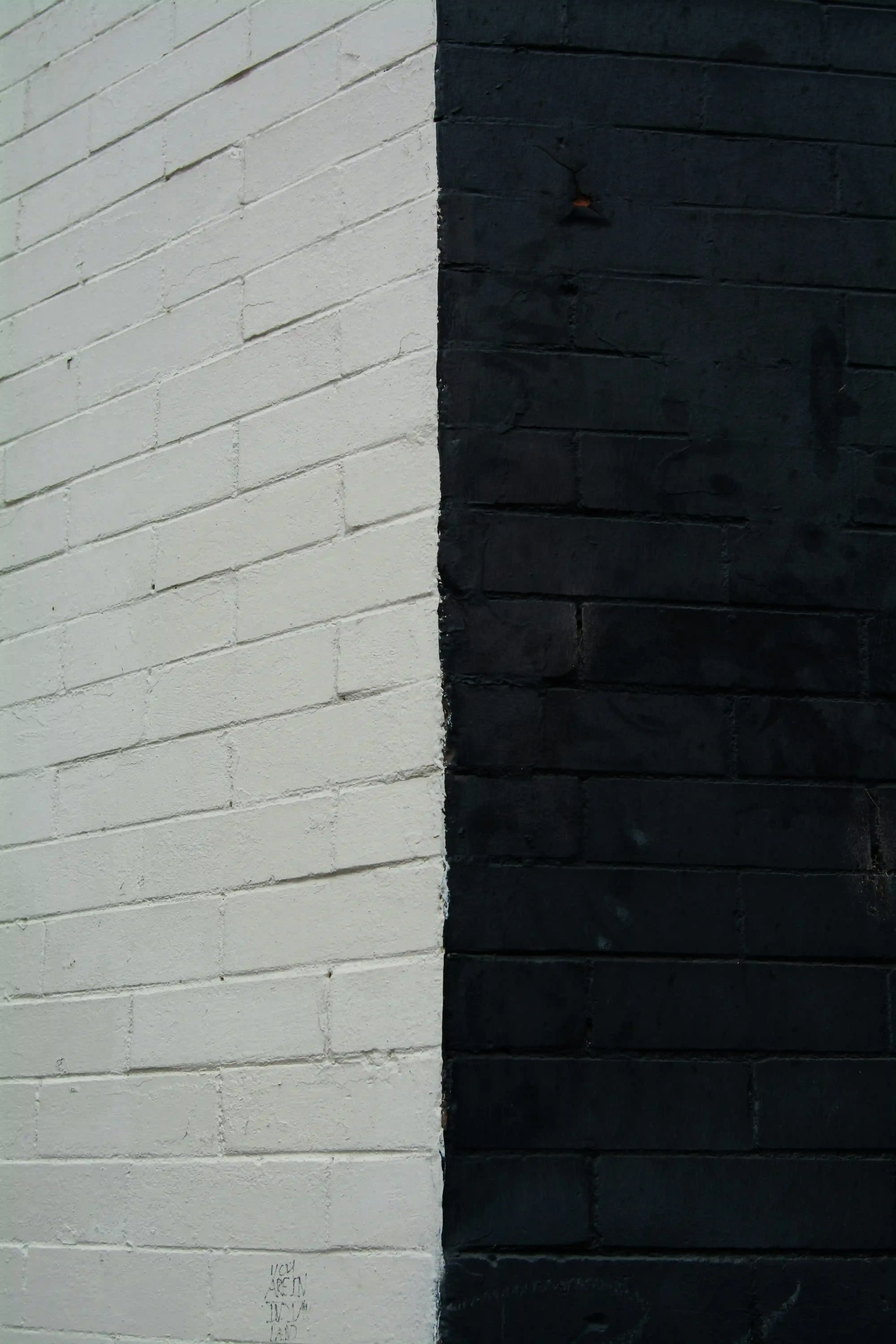 Finishing Your Black Accent Wall and What to Expect