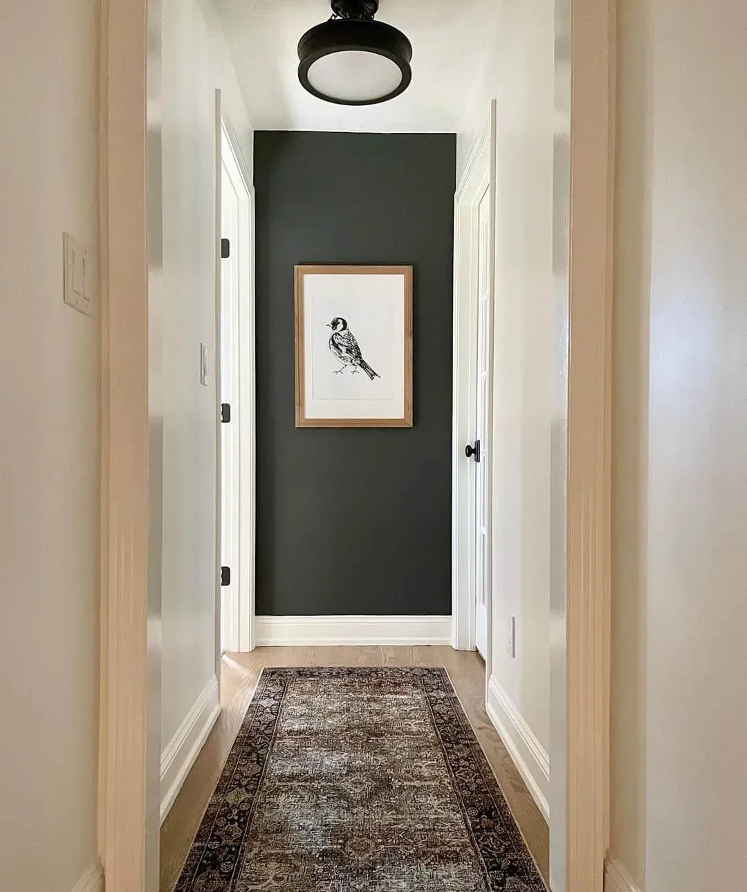 Picking the Perfect Hue: Not All Black is Equal for Your Hallway