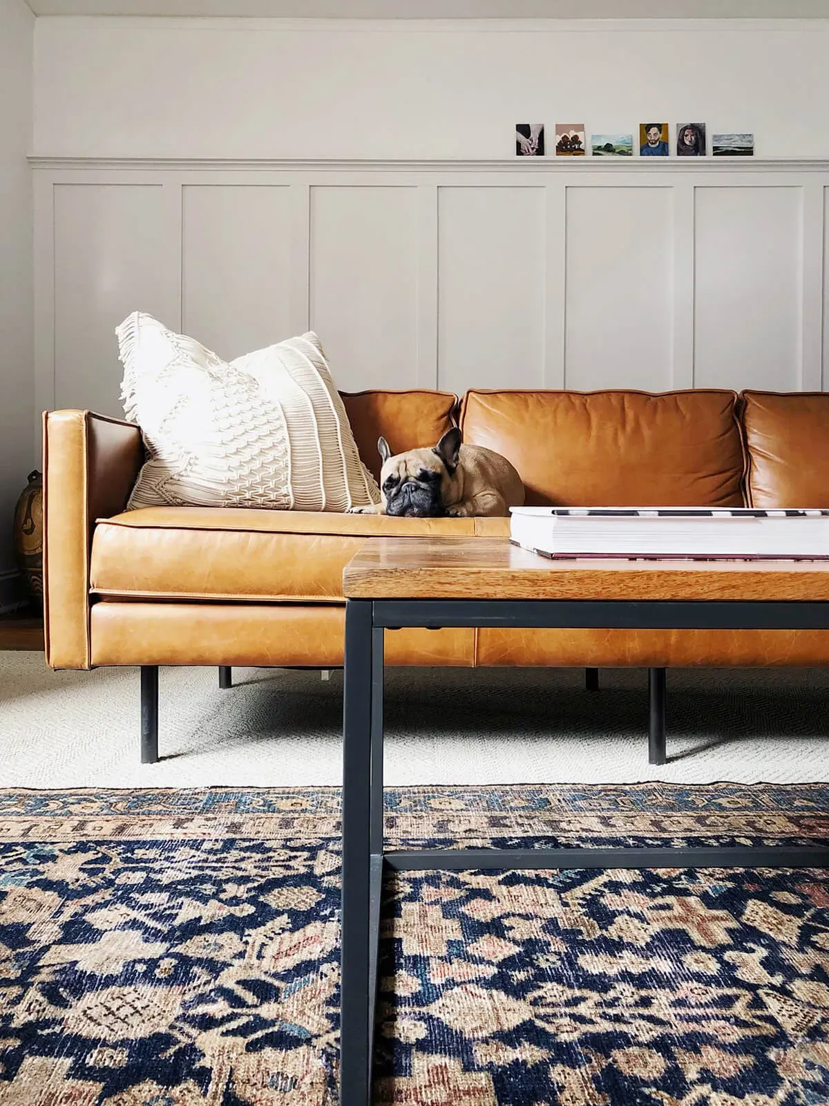 Planning Your Accent Wall: Tips from the 2023 Playbook
